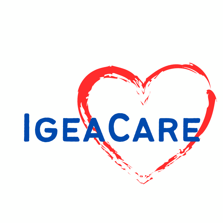 Igeacare Logo R Seau Entreprendre Wallonie